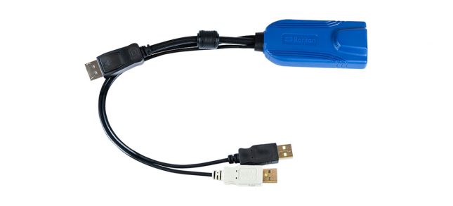 Raritan D2CIM DVUSB DP